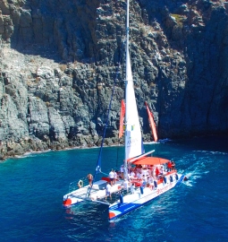 A trip aboard an Eco Catamaran where you’ll watch and listen to whales and dolphins and visit Los Gigantes