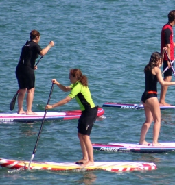 Alquiler Paddle Surf