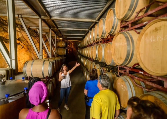 Aventura en eBike desde la Costa de Barcelona hasta los Viñedos, Tour por la Bodega y Degustación de Vinos