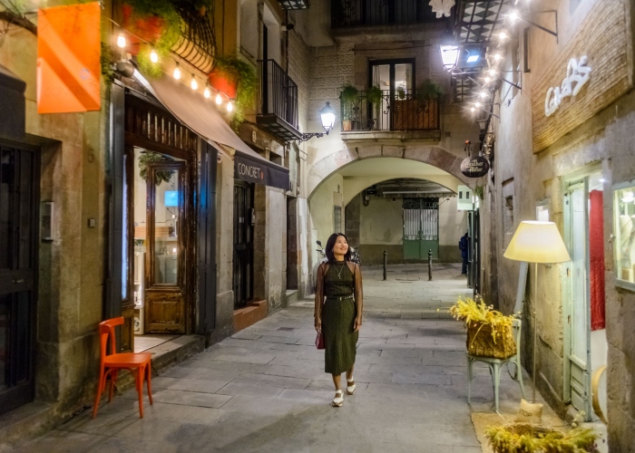 Barcelona Old Town Walking Tour, Flamenco Show & Tapas Tour Dinner in the Born District
