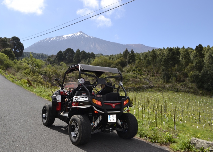 Buggy Tours in the North of Tenerife