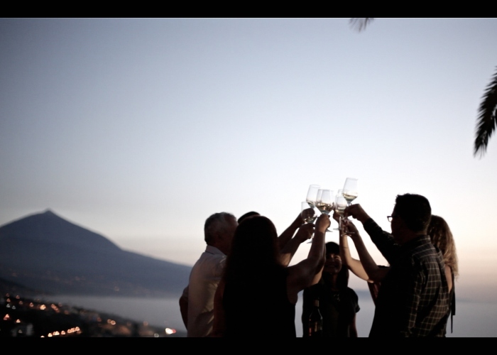  Descubre los vinos de Tenerife 