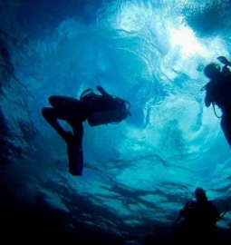 Discover Scuba Diving from a Boat