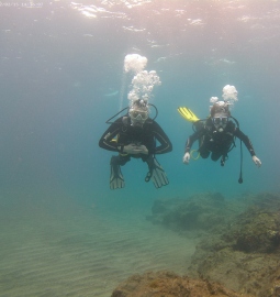Discover Scuba Diving in Tenerife’s Clear Waters