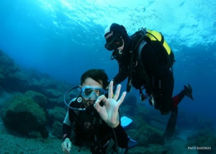 Discover scuba diving with your first dive and experience the underwater world of Tenerife