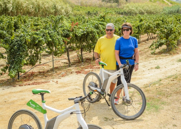 eBike Adventure from Barcelona Coastline to the Vineyards, Winery tour and Wine Tasting