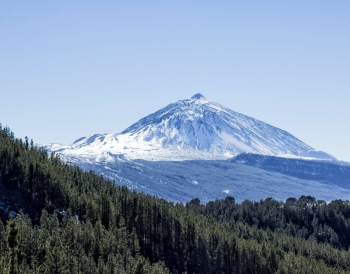 Embark on a Scenic Journey through Teide National Park, Complete with a Guachinche Lunch

Experience a vastness of landscapes and unforgettable scenery on this panoramic tour that leads you through the heart of Teide National Park. The day is filled with 
