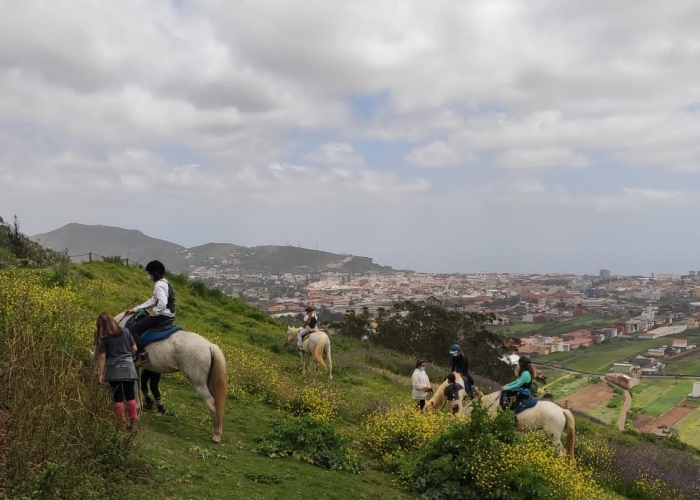 Enjoy a day on a horse riding club with stunning views in the north of Tenerife
