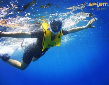 
Enjoy A Whole New Way Of Snorkelling - Floating Freely In The Water