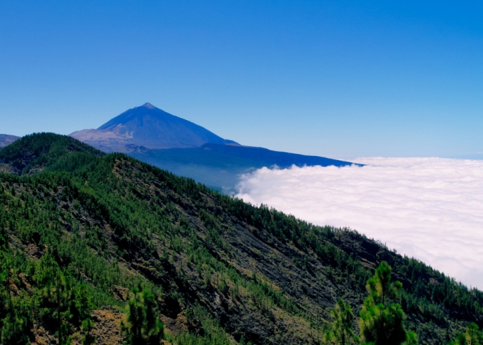  Enjoy the sky and the sea on this Teide and dolphin tour