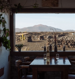 Excursión de vino y volcanes - Medio día en Lanzarote con cata de vinos