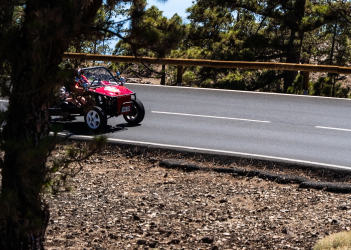Experience the best of Mount Teide in a thrilling Buggy Tour