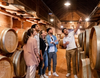 Experience the Best of Toledo City and Madrid Through a Winery Tour and Wine Tasting

Experience a unique blend of culture and indulgence with an all-inclusive tour of Toledo city, along with a rare chance to participate in an authentic winery experience 