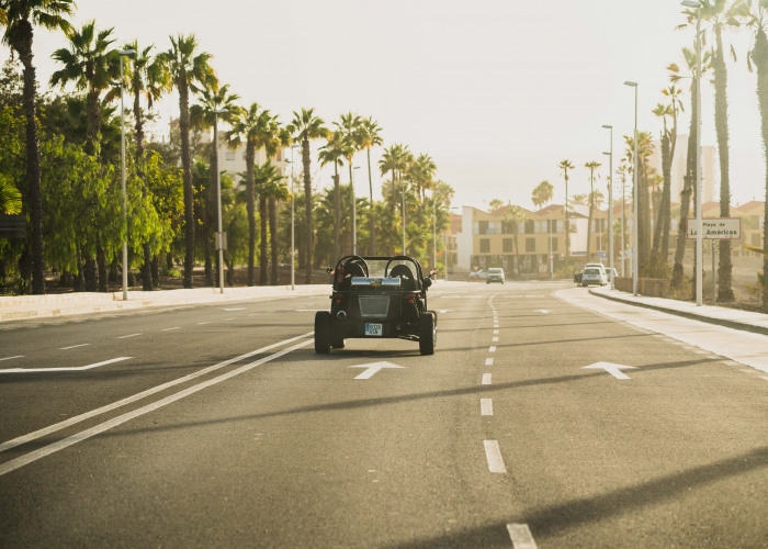 Experience the sunny south coast of Tenerife in the Costa Rush buggy tour