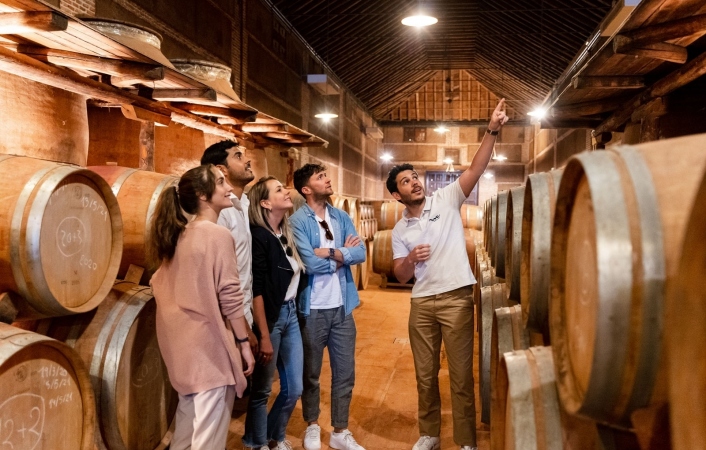 Exploración de la encantadora ciudad de Toledo y visita a una bodega con cata de vinos, todo desde Madrid.