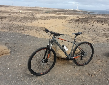 Explore Fuerteventura at Your Leisure by Renting an E-Bike or Mountain Bike

Consider the freedom of steering your own course through the natural beauty of Fuerteventura, a paradise for lovers of sun, sea, sand, and adventure. There’s no better way to exp