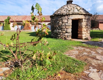  
Explore the Pleasures of the Pla de Bages Wine Region