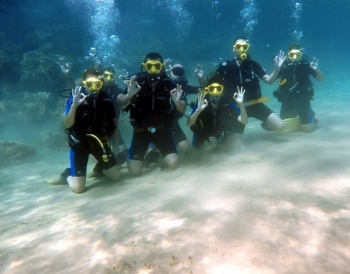 Explore the Underwater World with Scuba Diving
