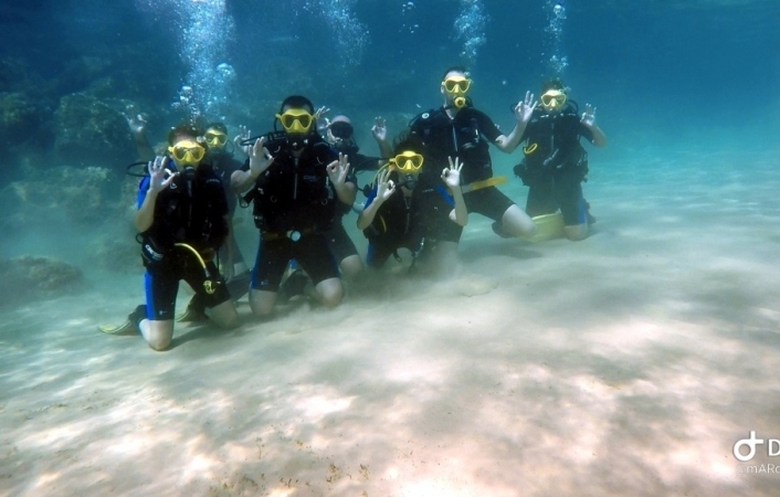 Explore the Underwater World with Scuba Diving