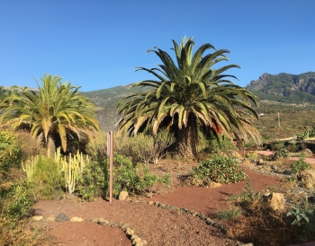 Exploring the Mysteries of the Güímar Pyramids

Journey into the heart of Tenerife to the eastern coastal town of Güímar, where six uniquely fascinating pyramids etched in stone stand tall. Peculiarly, these pyramids are not your typical Egyptian or Mayan