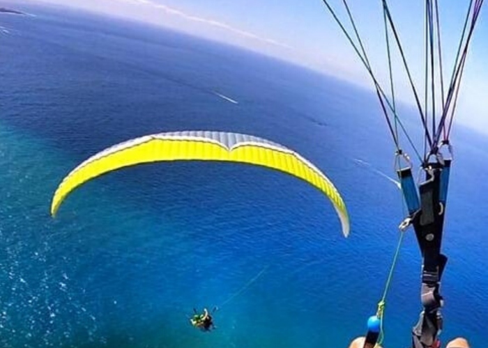 Fly like a bird with the longest flight of the south of Tenerife