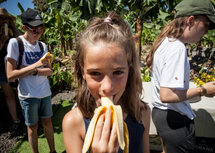 Guided visit to a lovely ecological banana farm in La Orotava
