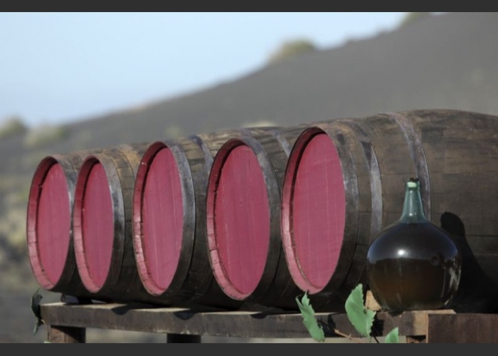 Half-day wine & volcano Tour in Lanzarote with wine tasting