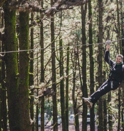 Have a treetop adventure in the biggest forest park of the Canary Islands