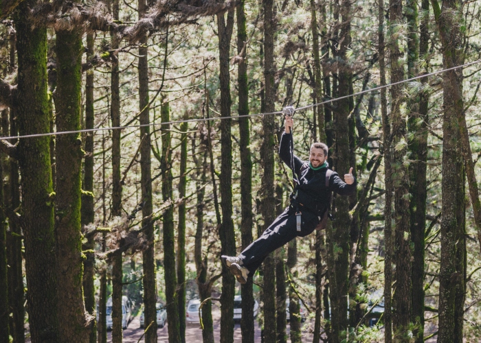 Have a treetop adventure in the biggest forest park of the Canary Islands