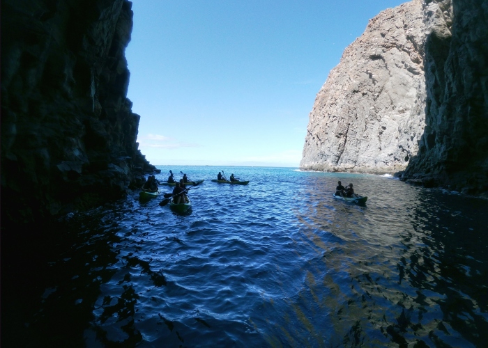 Kayak y Snorkel por Costa Volcánica con Delfines y Tortugas