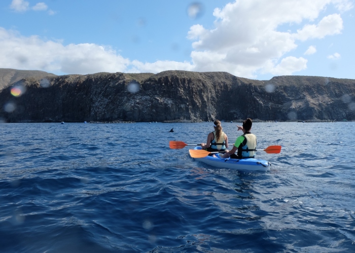 Kayaking and Snorkeling along a Volcanic Coast with Dolphins and Turtles