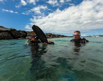 Learn Scuba Diving in Tenerife

Are you looking to undertake an underwater adventure that thrills and educates at the same time? Scuba diving in Tenerife provides a unique opportunity for beginners and experienced divers to explore the breathtaking underw