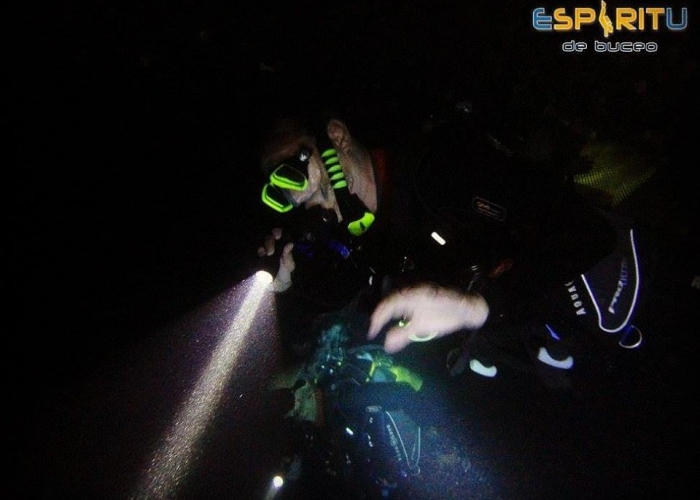 Learn to adapt to all situations under water with a Rescue Diver Course