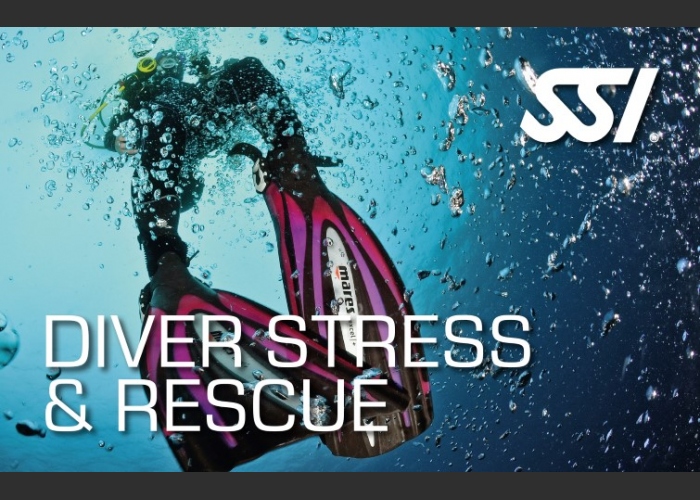 Learn to adapt to all situations under water with a Rescue Diver Course