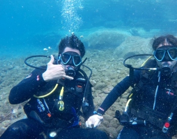  Learn to Dive with an Introductory Course
