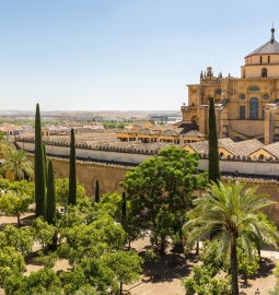Lo Mejor de Córdoba desde Madrid en un Día