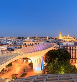 Lo mejor de Sevilla desde Madrid en Un Día