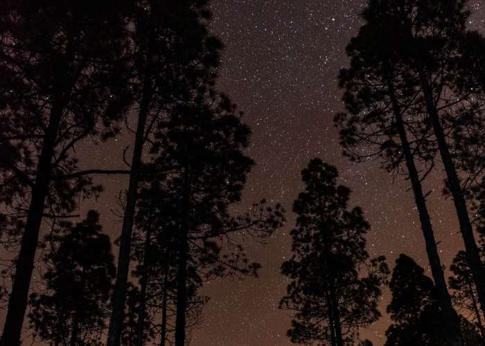 Night hike with a breathtaking astronomical experience