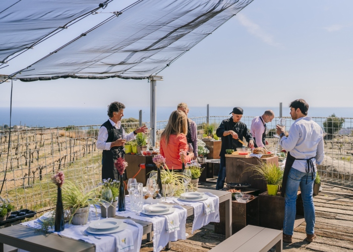 Paella Cooking with a chef, winery tour & sunset sailing to Barcelona