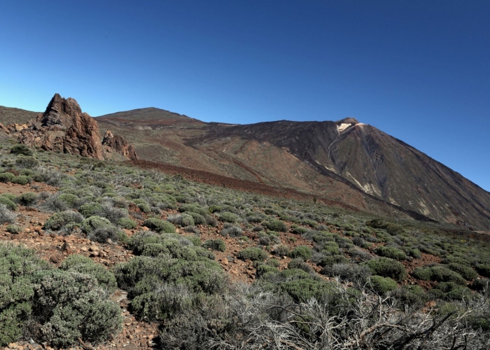 Personalized guided tour to Europe`s greatest volcanic adventure: Teide National Park