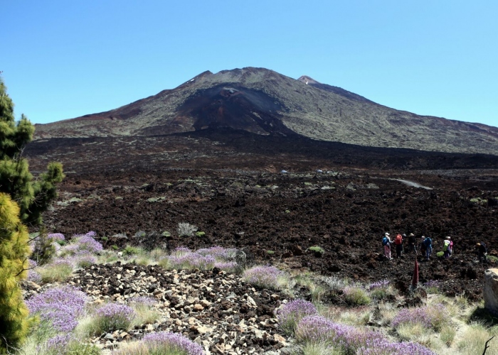 Personalized guided tour to Europe`s greatest volcanic adventure: Teide National Park