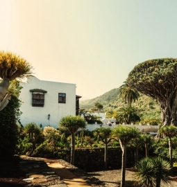 Personalized guided tour to explore the culture of the green north of Tenerife