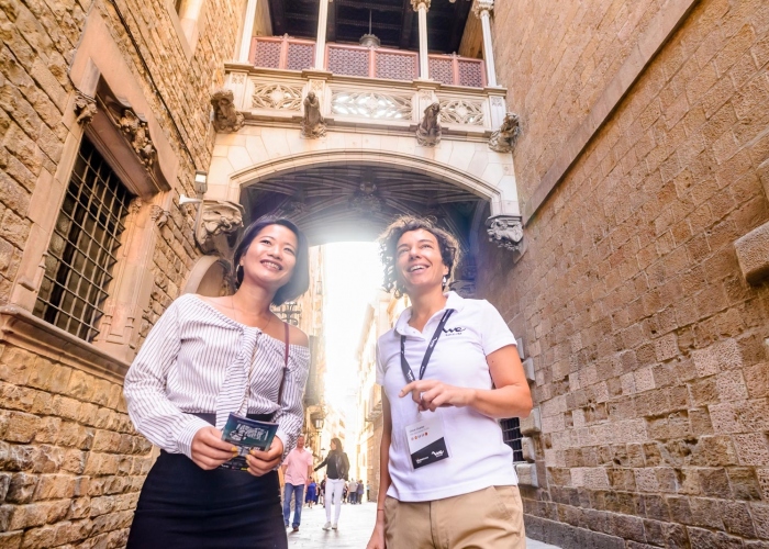 Private Barcelona Tour: Explore Gaudí and the Gothic Quarter