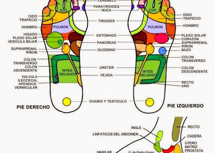 Private holistic foot massage with Shiatsu and Reflexology