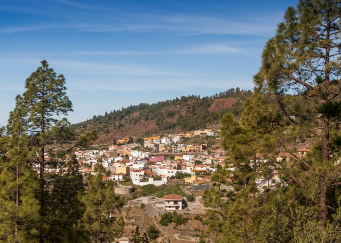 Private Teide tour with winery visit and wine tasting