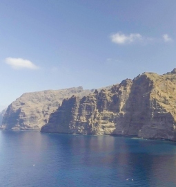 Private Tour to the wild south of Tenerife
