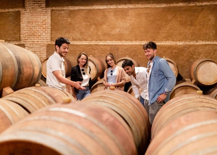 Recorrido por la Ciudad de Toledo y Experiencia en Bodega con Degustación de Vinos desde Madrid