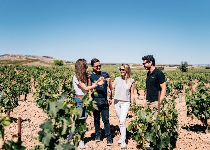 Ribera del Duero Winery and Segovia Tour from Madrid