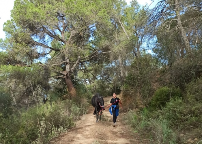 Ruta Pie a Tierra con Caballo por el Parque Natural de Collserola 