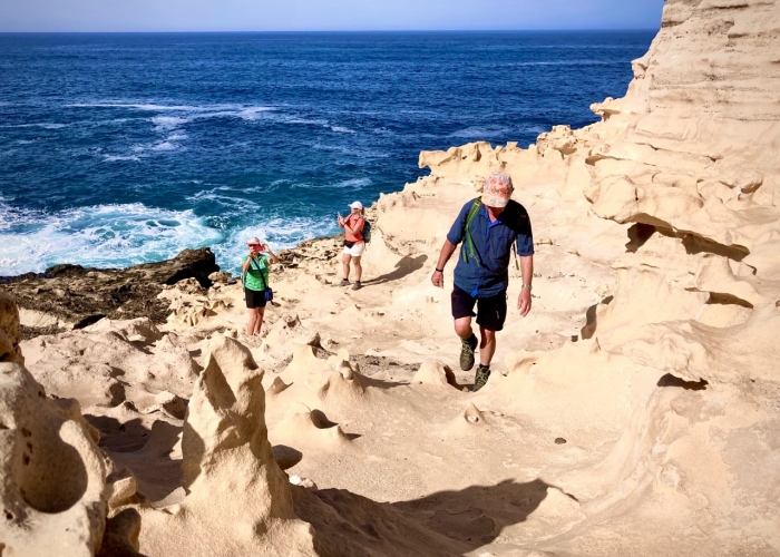 See the wild beaches of Fuerteventura on this half-day hike
